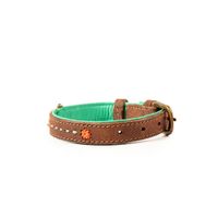 DWAM Joplin Bruin, Oranje, Turkoois Leer S Hond Standaard halsband - thumbnail