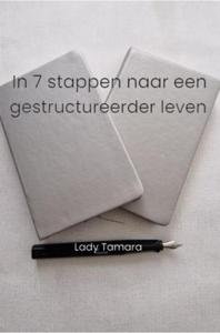 In 7 stappen naar een gestructureerder leven - Lady Tamara - ebook