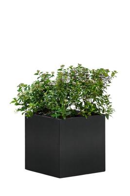Bloembak Mohawk, zwart gepoedercoat staal 50 x 50 x 50 cm