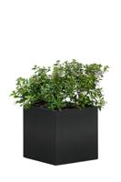 Bloembak Mohawk, zwart gepoedercoat staal 50 x 50 x 50 cm