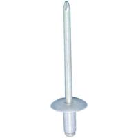 Blindklinknagel OEM:164360 - 20 stuks 65B123006