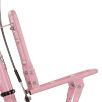 Alpina Support avant 18 Cargo light pink matt - thumbnail