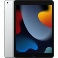 Apple iPad 2021 10.2 Wifi 256GB Zilver Apple iPad 2021 10.2 Wifi 256GB Zilver