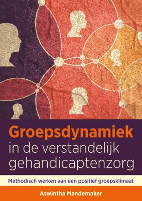 Groepsdynamiek in de verstandelijk gehandicaptenzorg (Paperback)