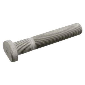 Wielbout 106435