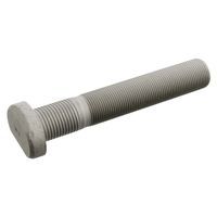 Wielbout 106435