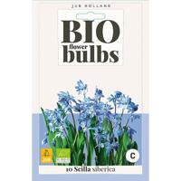 Bio scilla siberica 10 bollen oud
