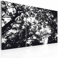Schilderij - Dichte bossen, zwart wit , boom , 3 luik - thumbnail
