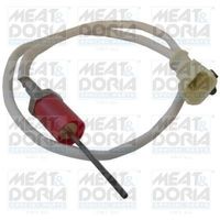 Sensor, uitlaatgastemperatuur 12351