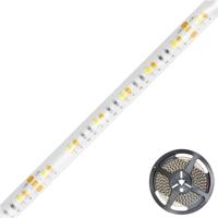 EVN EVN Lichttechnik IC544884280125 LED-strip Energielabel: F (A - G) Met open kabeleinde 48 V 5 m Warmwit tot daglichtwit 1 stuk(s)