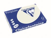 Clairefontaine Trophée Pastel, gekleurd papier, A3, 160 g, 250 vel, parelgrijs - thumbnail