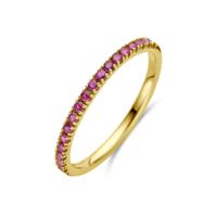 14K Geelgouden Ring met Robijn Geboortesteen - Juli