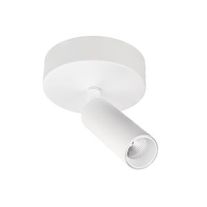 BC0025 LED-opbouwspot Koker 1x10W 2700K Dimbaar Wit