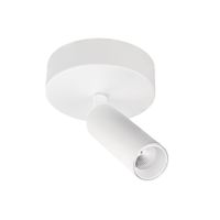 BC0025 LED-opbouwspot Koker 1x10W 2700K Dimbaar Wit