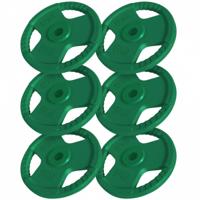 Voordeelbundel 30 kg (6 x 5 kg) Halterschijven Gripper Gietijzer - 30/31 mm