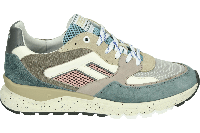 Floris van Bommel DE TREENER 01.51 - alle