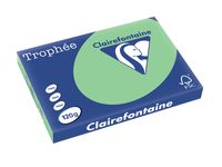 Clairefontaine Trophée Pastel, gekleurd papier, A3, 120 g, 250 vel, natuurgroen - thumbnail