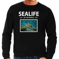 Zeeschildpad sweater / trui met dieren foto sealife of the world zwart voor heren - thumbnail