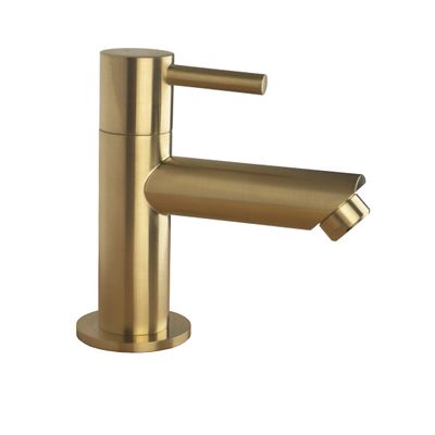 BWS Fonteinkraan Colorato 1/2&apos;&apos; Aansluiting Geborsteld Goud