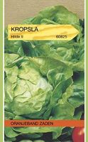 Kropsla