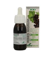 Ribes nigrum XXI extract