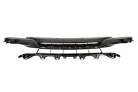 Ventilatiegrille, bumper 6502070063910P