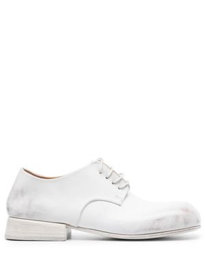 Marsèll derbies Tellina - Blanc