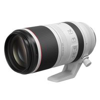 Canon RF 100-500mm f/4.5-7.1L IS USM objectief