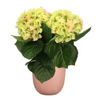 Hortensia kunstplant/kunstbloemen 36 cm - groen/roze - in pot lichtroze - Kunstplanten