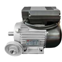 DOMAC Elektromotor 3cv / 230V met katrol