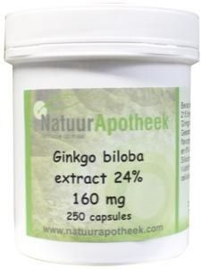 Natuurapotheek Ginkgo biloba 24% 100 mg (250 caps)