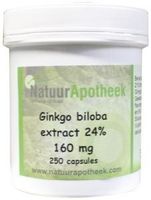 Natuurapotheek Ginkgo biloba 24% 100 mg (250 caps)