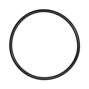 O-Ring voor Deksel Speck Badu 90 Eco Motion zwembadpomp
