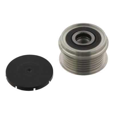 Riemschijf 30029