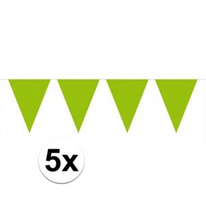 Party Vlaggenlijn puntvlaggetjes - 5x - kunststof - groen - 10 meter - Slinger - versiering