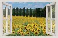 Raam Zonnebloem 140x90cm Tuindoek - Customize it