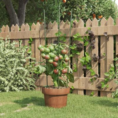 VidaXL Plantensteunen 5 st met 3 ringen 60 cm staal groen