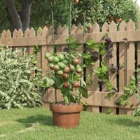 VidaXL Plantensteunen 5 st met 3 ringen 60 cm staal groen VidaXL Plantensteunen 5 st met 3 ringen 60 cm staal groen