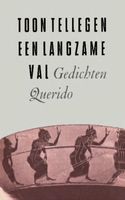 Een langzame val - Toon Tellegen - ebook - thumbnail