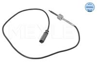 Sensor, uitlaatgastemperatuur 1148000194