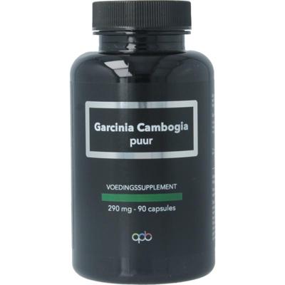 Apb Holland Garcinia cambogia 290mg puur