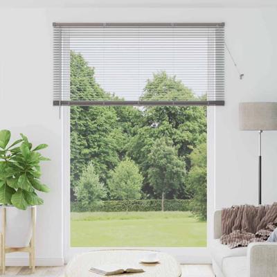 Raam Blind met gordijnen Anders Zilver 160 x 220 cm Aluminium