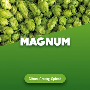 Hopbellen Magnum 2024 5 kg