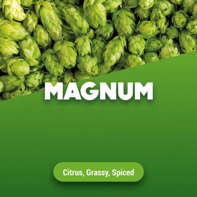Hopbellen Magnum 2024 5 kg