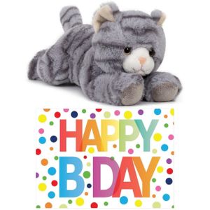 Cadeau setje pluche grijze kat/poes knuffel 25 cm met Happy Birthday wenskaart