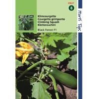 HT Courgette Black Forest F1 (klimmend) - Hortitops