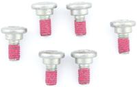 TRW -lucas bout screw 6pcs. m6x12,5