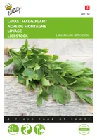 Buzzy® Lavas Maggiplant Zaden