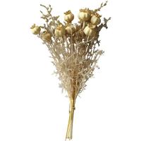 Poppy seed capsule 36cm old white - Buitengewoon de boet Poppy seed capsule 36cm old white - Buitengewoon de boet
