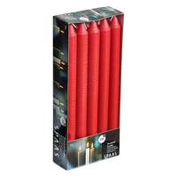 Dinerkaarsen rood - 10x stuks - 24 cm - 8 branduren - lange kaarsen